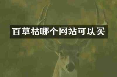 百草枯哪个网站可以买