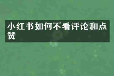 小红书如何不看评论和点赞