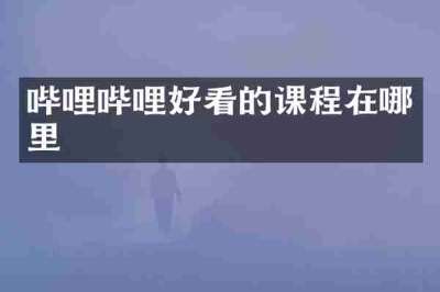 哔哩哔哩好看的课程在哪里