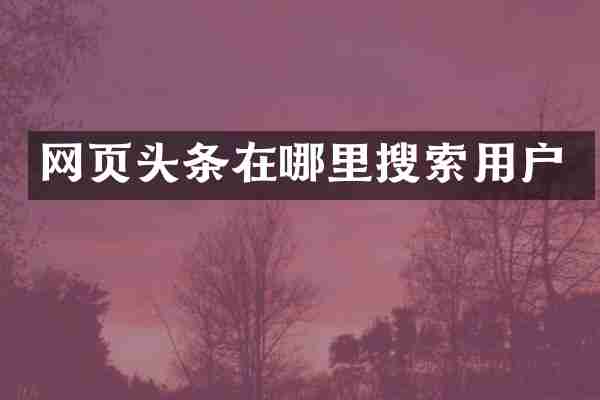 网页头条在哪里搜索用户