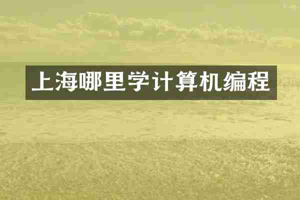 上海哪里学计算机编程