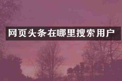网页头条在哪里搜索用户