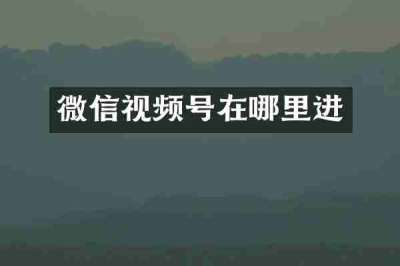 微信视频号在哪里进