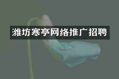 潍坊寒亭网络推广招聘