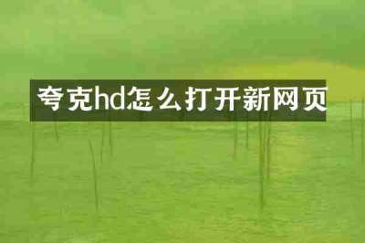 夸克hd怎么打开新网页