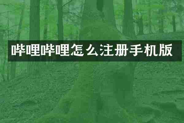 哔哩哔哩怎么注册手机版