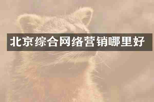 北京综合网络营销哪里好