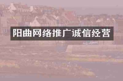 阳曲网络推广诚信经营