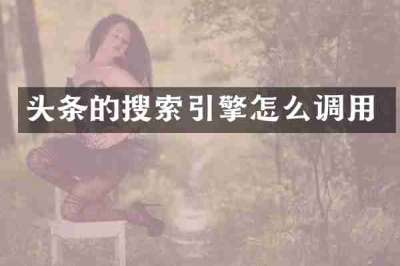 头条的搜索引擎怎么调用