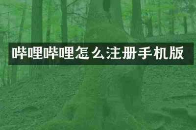 哔哩哔哩怎么注册手机版