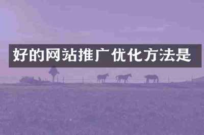 好的网站推广优化方法是
