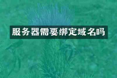 服务器需要绑定域名吗