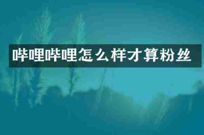 哔哩哔哩怎么样才算粉丝