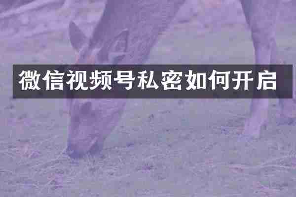 微信视频号私密如何开启