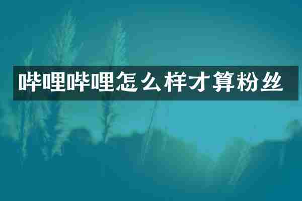 哔哩哔哩怎么样才算粉丝