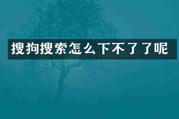 搜狗搜索怎么下不了了呢