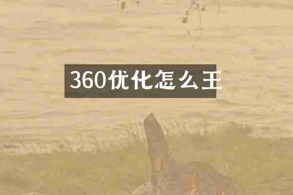 360优化怎么王