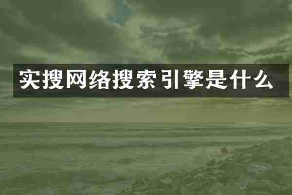 实搜网络搜索引擎是什么