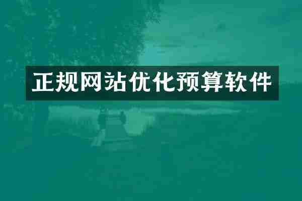 正规网站优化预算软件