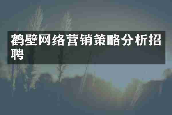 鹤壁网络营销策略分析招聘