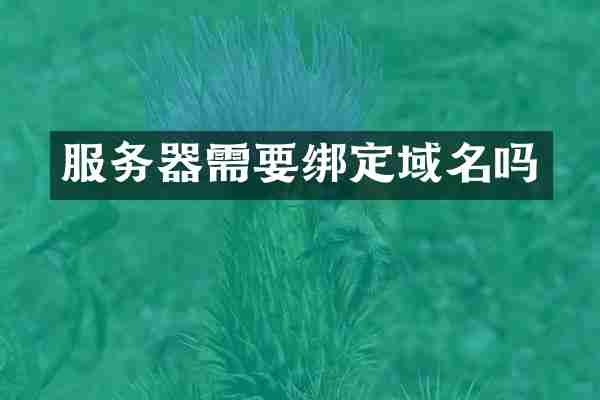 服务器需要绑定域名吗