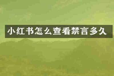 小红书怎么查看禁言多久