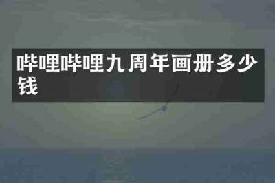 哔哩哔哩九周年画册多少钱