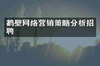 鹤壁网络营销策略分析招聘