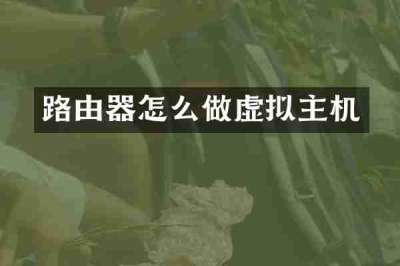 路由器怎么做虚拟主机
