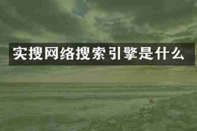 实搜网络搜索引擎是什么