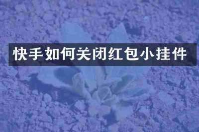 快手如何关闭红包小挂件