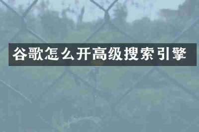 谷歌怎么开高级搜索引擎