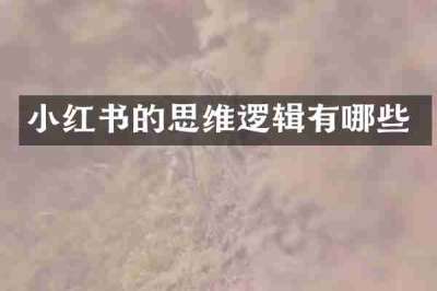 小红书的思维逻辑有哪些