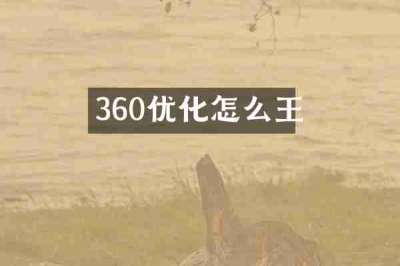 360优化怎么王