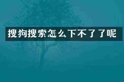 搜狗搜索怎么下不了了呢