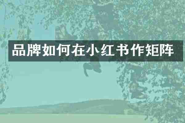 品牌如何在小红书作矩阵