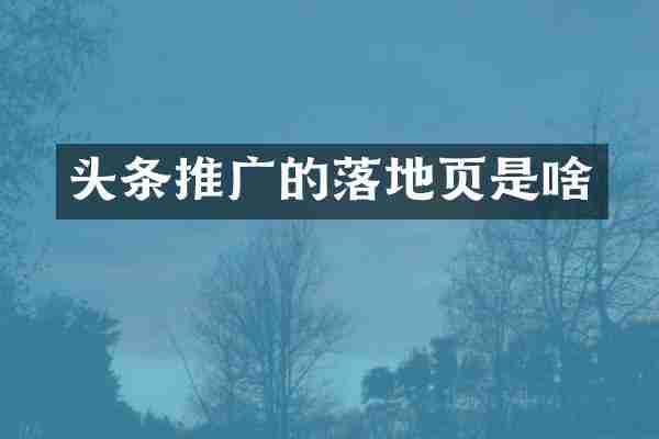 头条推广的落地页是啥