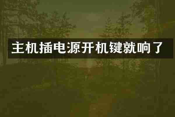 主机插电源开机键就响了