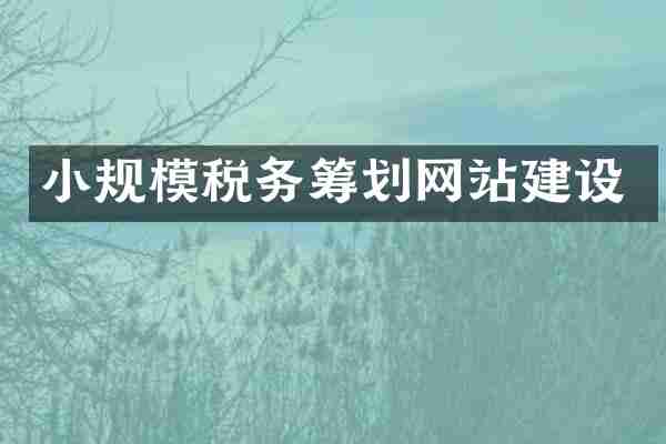 小规模税务筹划网站建设