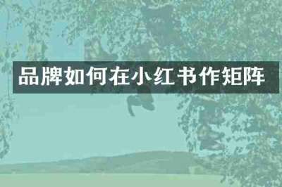 品牌如何在小红书作矩阵