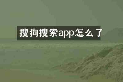 搜狗搜索app怎么了