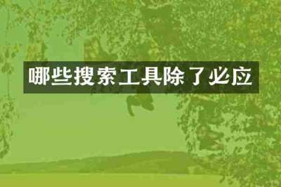 哪些搜索工具除了必应