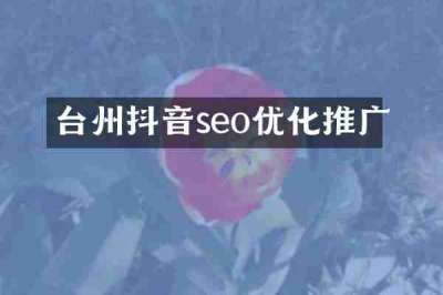 台州抖音seo优化推广