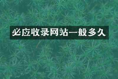 必应收录网站一般多久