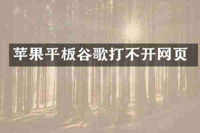 苹果平板谷歌打不开网页