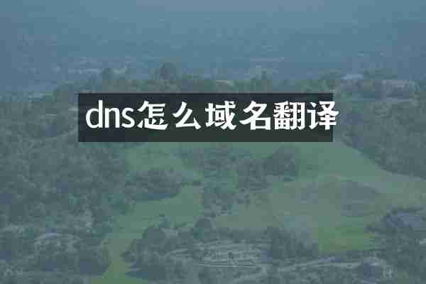 dns怎么域名翻译