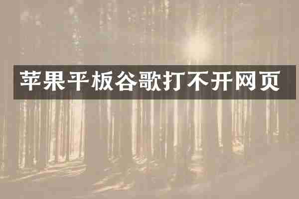 苹果平板谷歌打不开网页