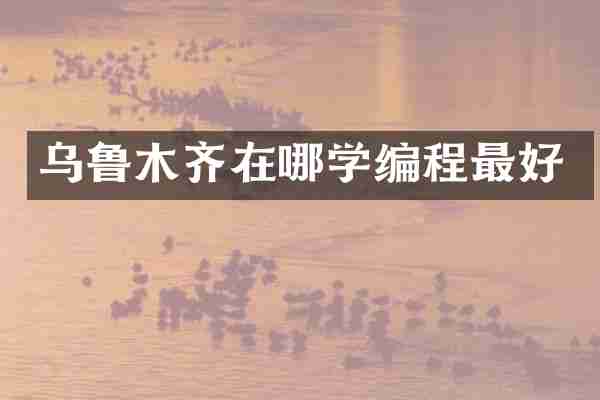 乌鲁木齐在哪学编程最好