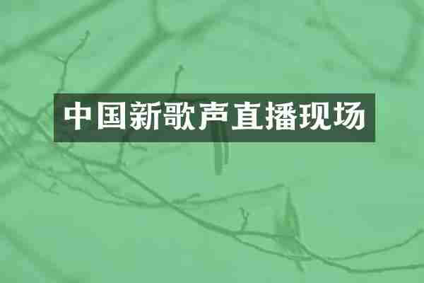 中国新歌声直播现场