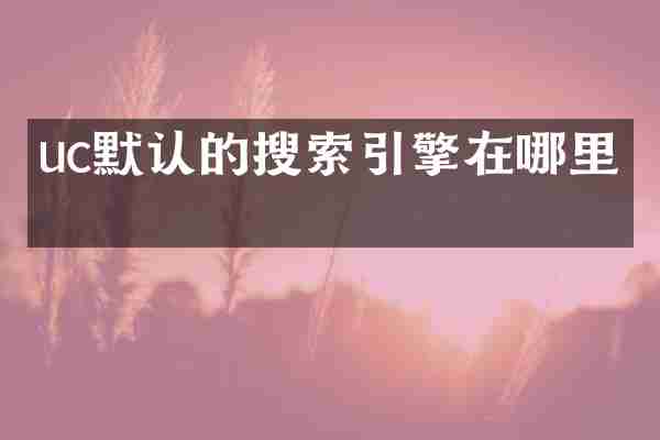 uc默认的搜索引擎在哪里看